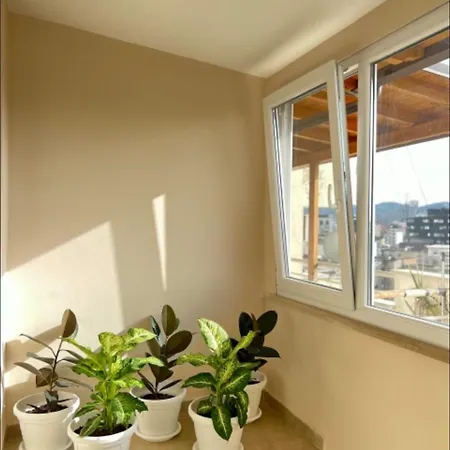 Apartament Above The *